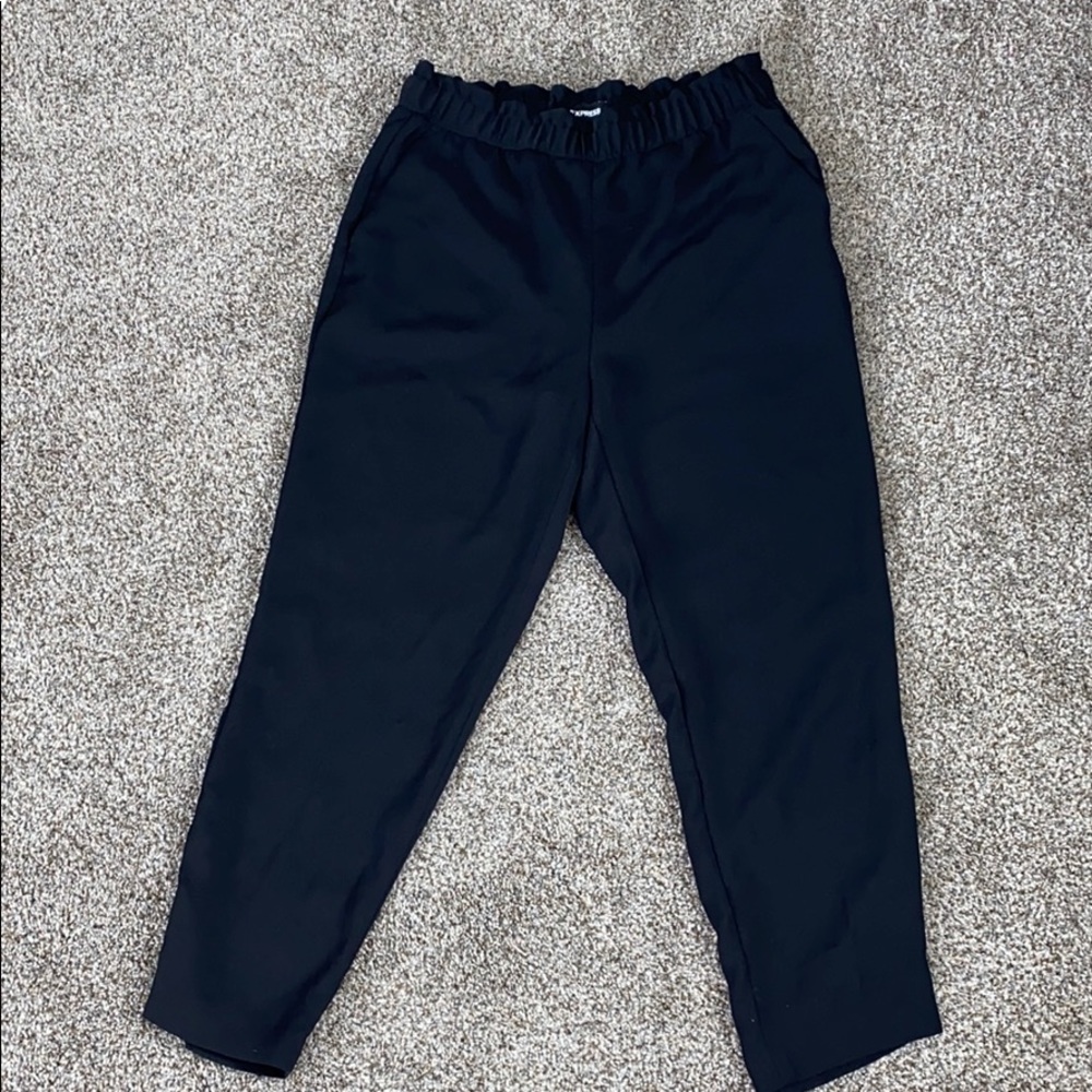 Loose Fitting Express Dress Pants